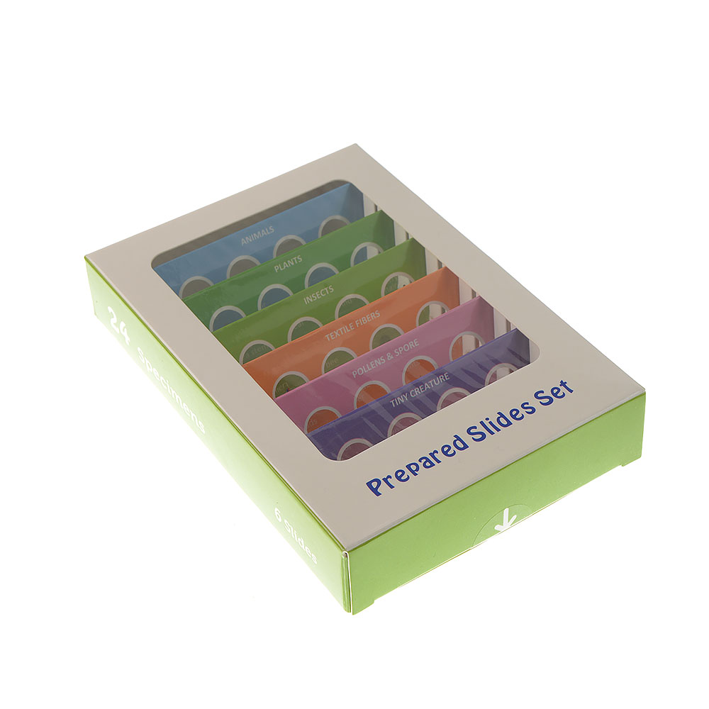 �������� ����� ��������������� �������� 24