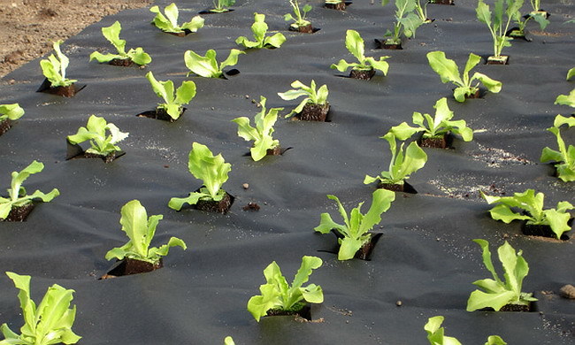 ������ �������� �������� �������� �������� ���-60 ������ 3.2 �.����� 150 �.