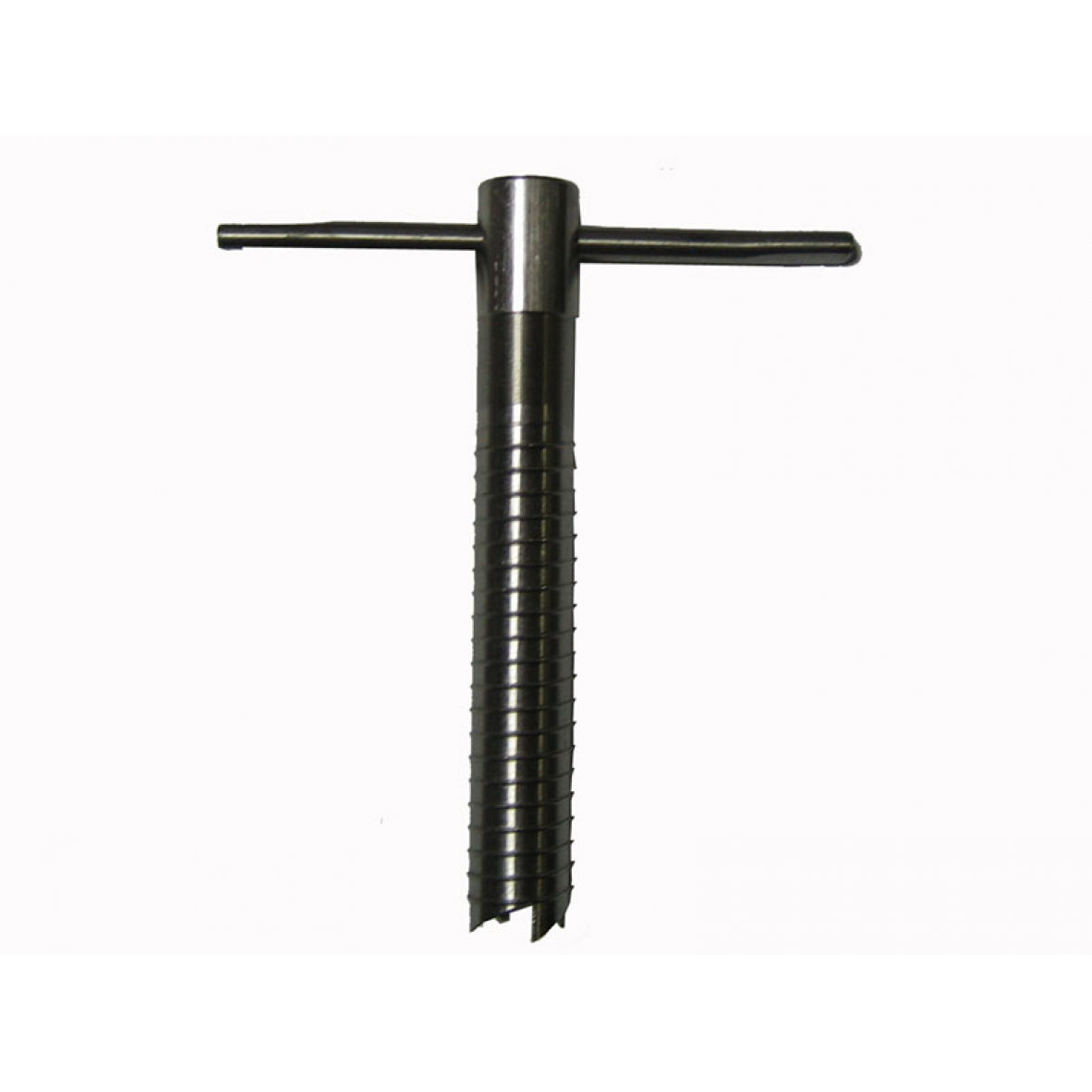 �������� �����