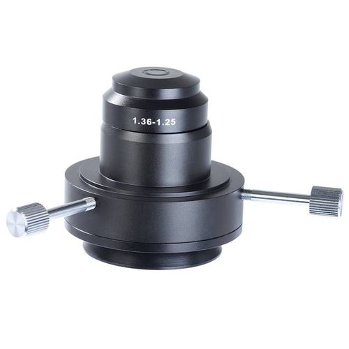 ������������ ������� ����