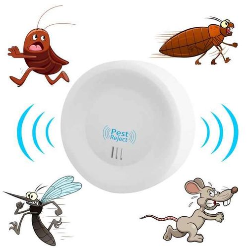 ������������ ����������