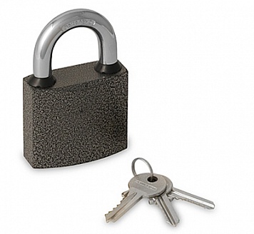 PALLADIUM ����� �������� 303F-25