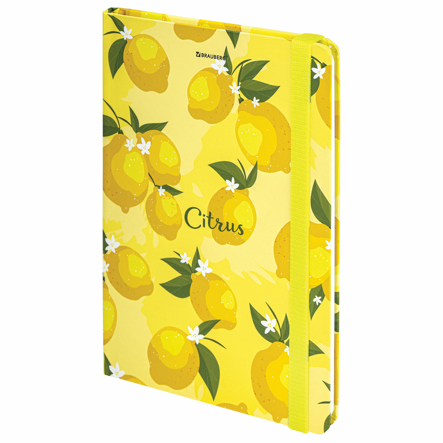 Brauberg ������� BRAUBERG 113727