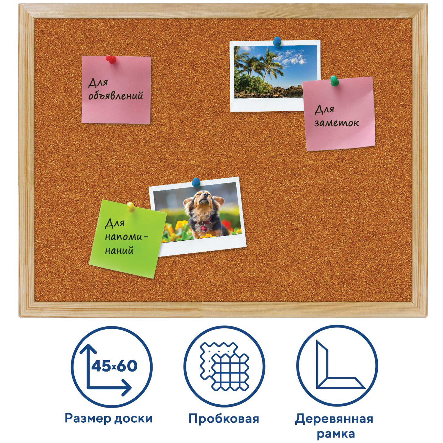 ����� ��������� ��� ���������� 45�60 ��, ���������� ����� BRAUBERG 236859