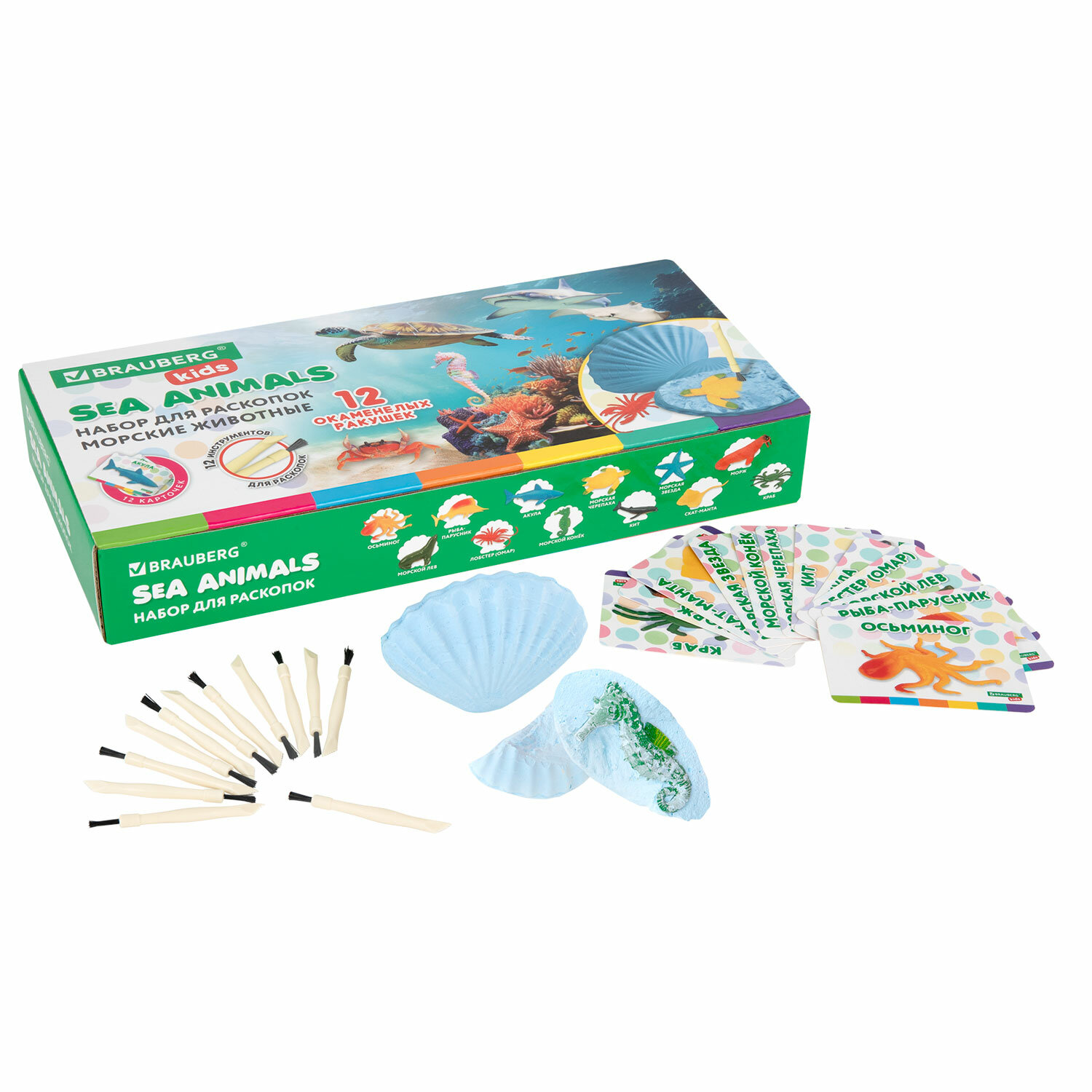 Brauberg ����� BRAUBERG 665126