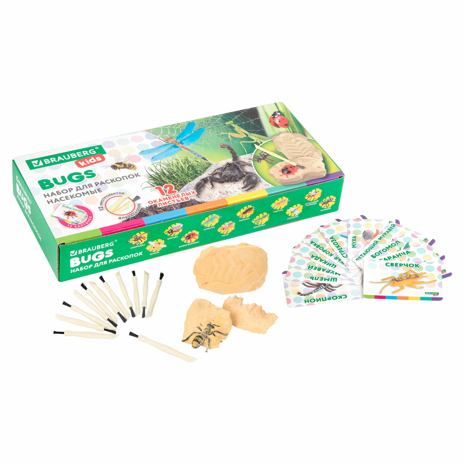 ����� BRAUBERG 665127