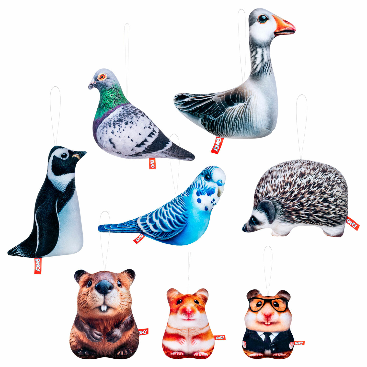 ������� FANCY 666169, �������� 10 ��.