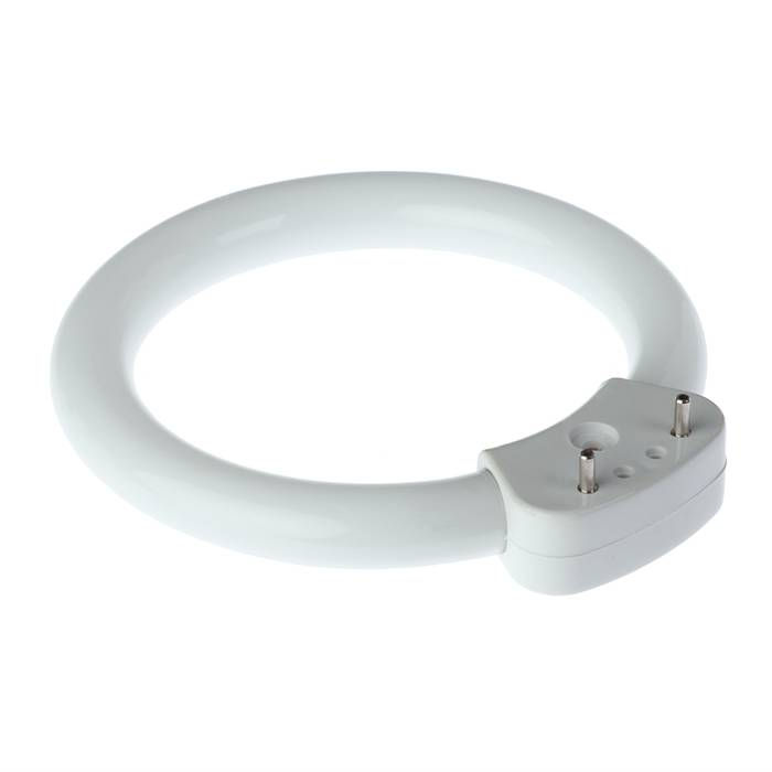 ����� ��� ���������� ���������� ��������