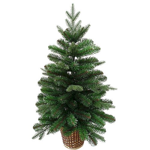 ���� �������������