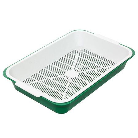 ����� ��� ��������