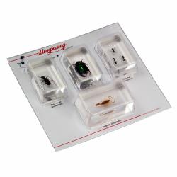 ��������������