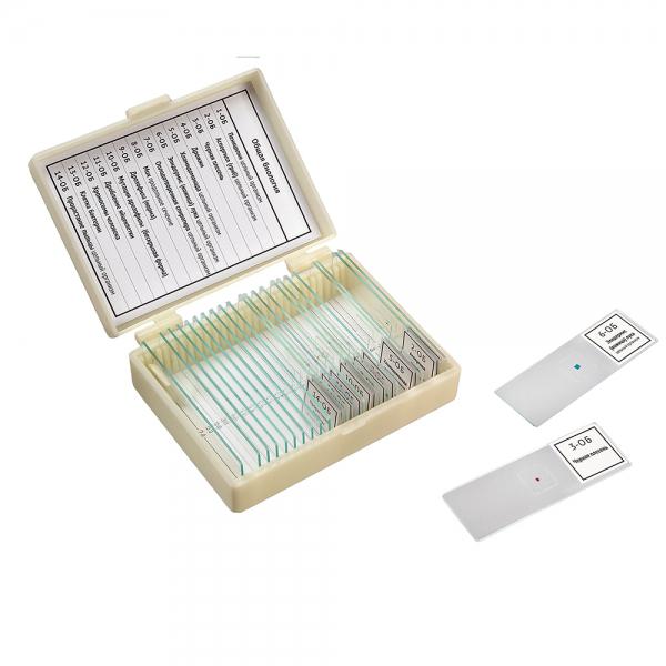 �������� ����� ���������� ����� �������� �������� 14 ��������