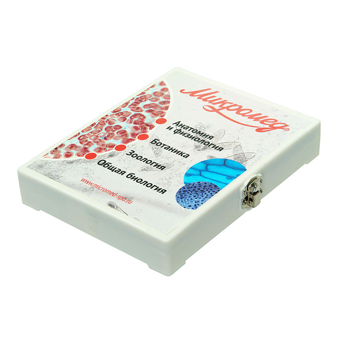 �������� ����� ������� ��������������� �������� 80