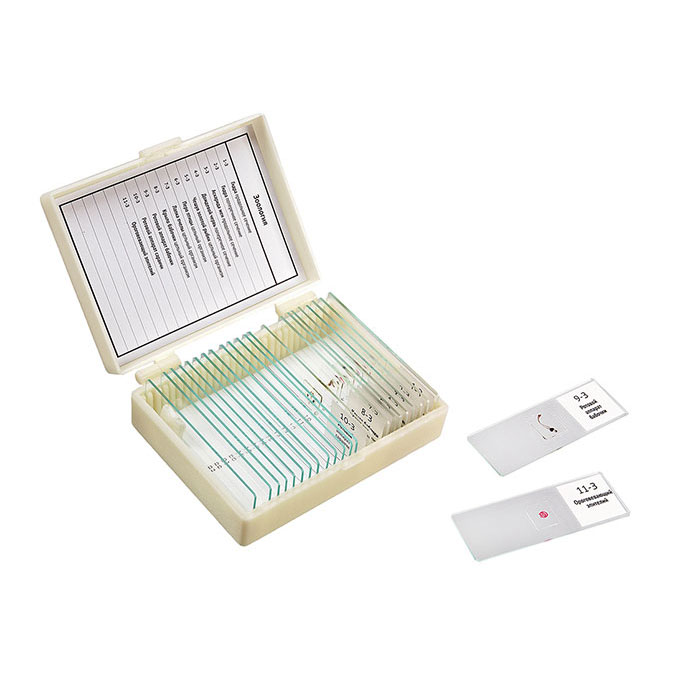 �������� ����� ���������� �������� 11 �������� ��������