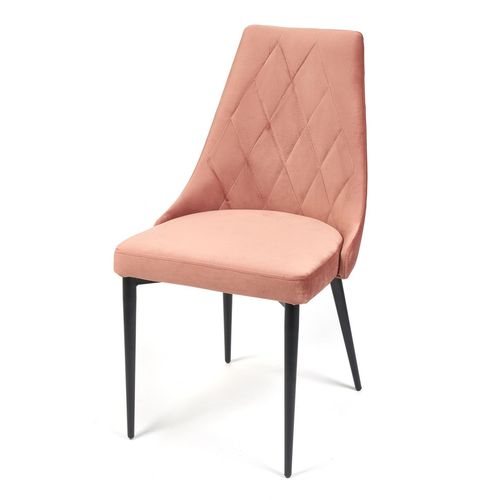 ������ ���������