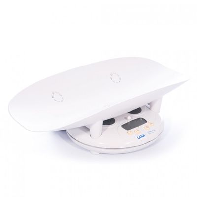 ���� �������